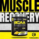 Forzagen BCAAs Powder for Pre/Post Workout Recovery