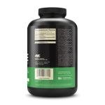 Optimum Nutrition Micronized Creatine Powder 600g