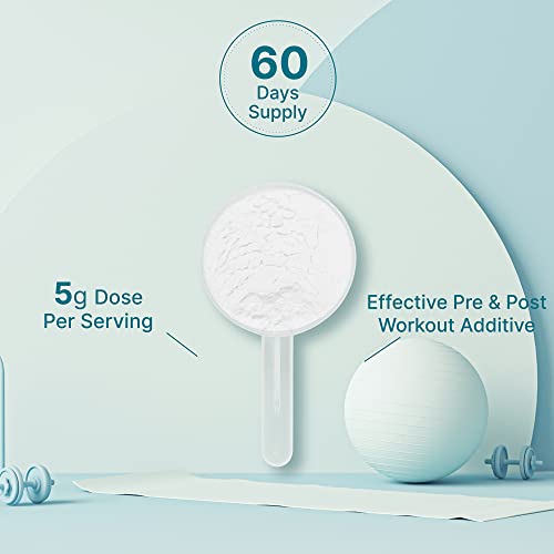 Pure Creatine Monohydrate Powder 500g Unflavored