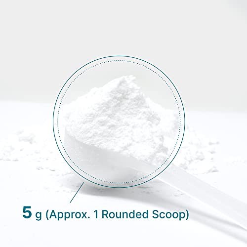 Pure Creatine Monohydrate Powder 500g Unflavored