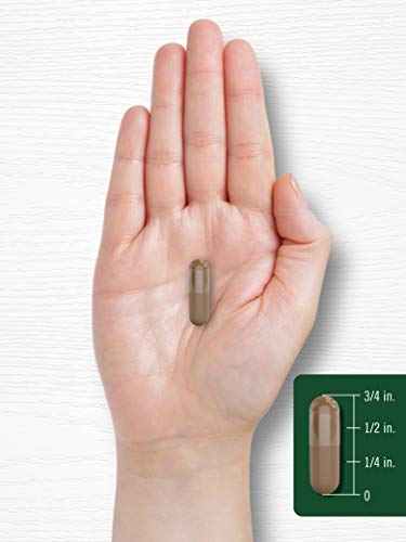 Valerian Root Capsules 2400mg - 240 Count