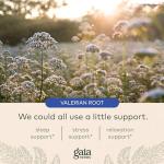 Gaia Herbs Valerian Root - Sleep Support Capsules
