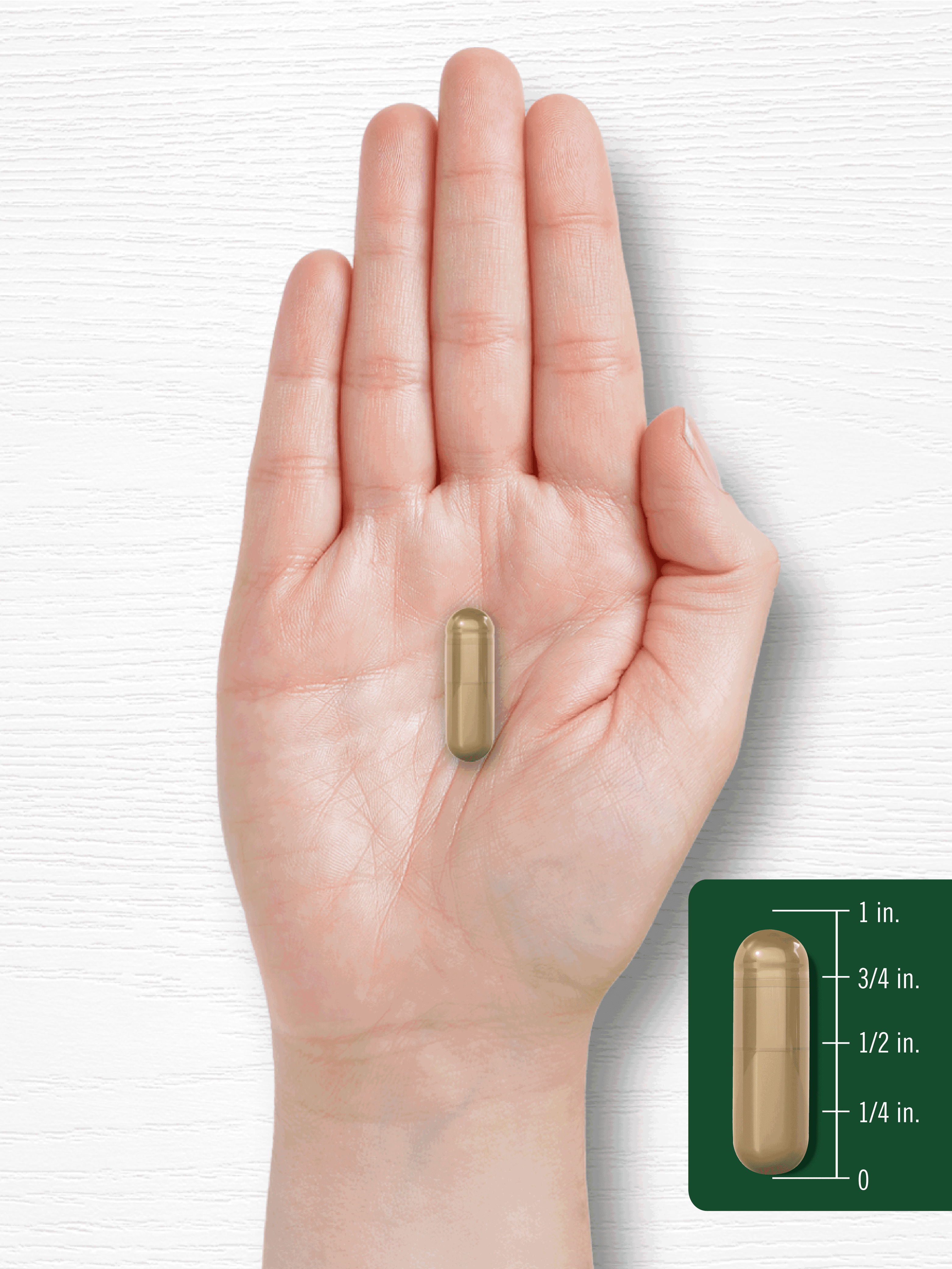 Carlyle Ginseng Extract Complex - 200 Capsules