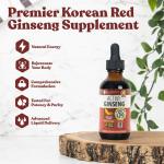 Korean Red Ginseng Liquid for Energy & Vitality