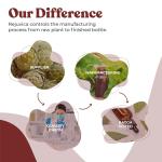 Korean Red Ginseng Liquid for Energy & Vitality