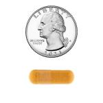 Spring Valley Turmeric Curcumin with Ginger Capsules