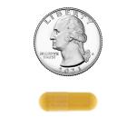 Turmeric Curcumin with Ginger Powder 500mg, 180 Count