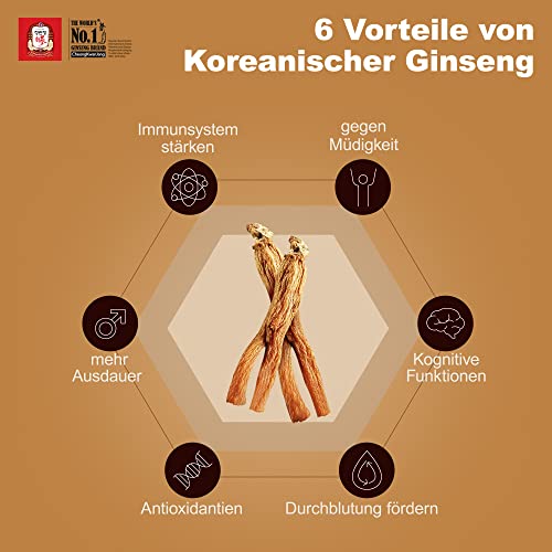 CheongKwanJang 6-Year Korean Red Ginseng Extract 120g