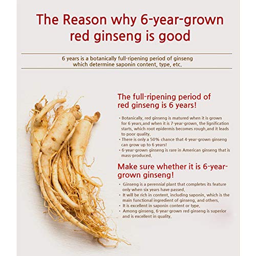 Korean Red Ginseng Extract Sticks - 365 Pack