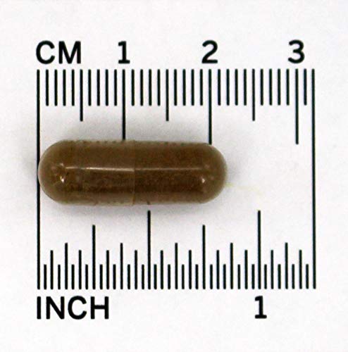 NOW Valerian Root 500 mg Herbal Supplement 100 Capsules