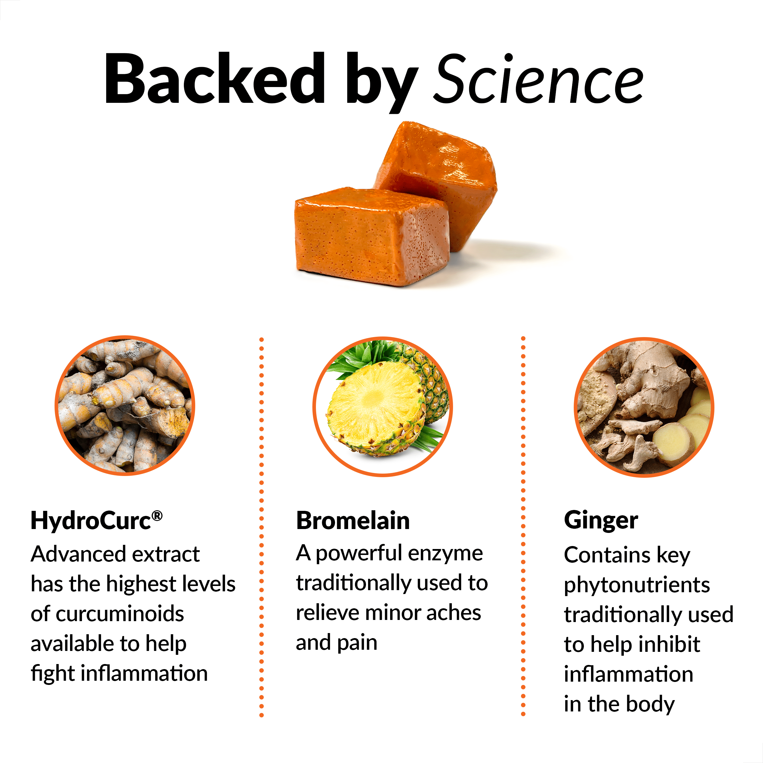 Better Turmeric Supplement with Black Pepper & Ginger