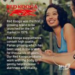 Red Kooga Ginseng Tablets for Vitality & Focus