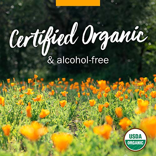 Herb Pharm Organic Valerian Root Extract for Relaxation