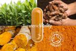 High Strength Organic Turmeric Curcumin Capsules