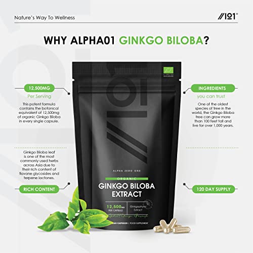 Organic Ginkgo Biloba Extract 12,500mg - 120 Capsules