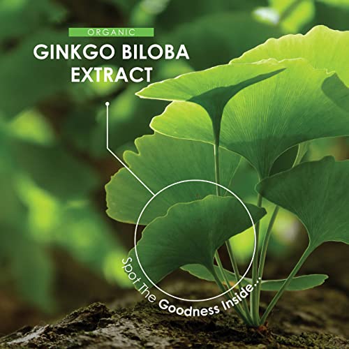 Organic Ginkgo Biloba Extract 12,500mg - 120 Capsules