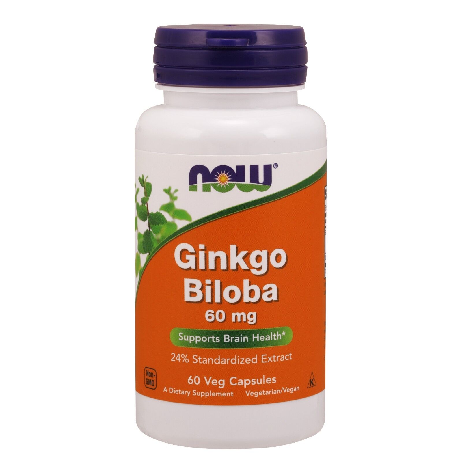 NOW Foods Ginkgo Biloba 60 mg Veg Capsules