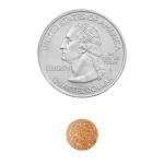 Ginkgo Biloba 60 mg Tablets, 240 Count