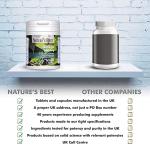 Ginkgo Biloba 6000mg Vegan Tablets - 180 Count