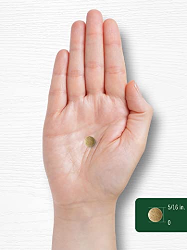 Carlyle Ginkgo Biloba 3000mg, 400 Veggie Tablets