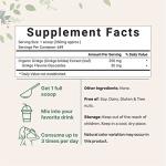 Organic Ginkgo Biloba Powder for Brain Support