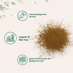 Organic Ginkgo Biloba Powder for Brain Support