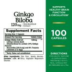 Ginkgo Biloba 120mg - Memory & Brain Support