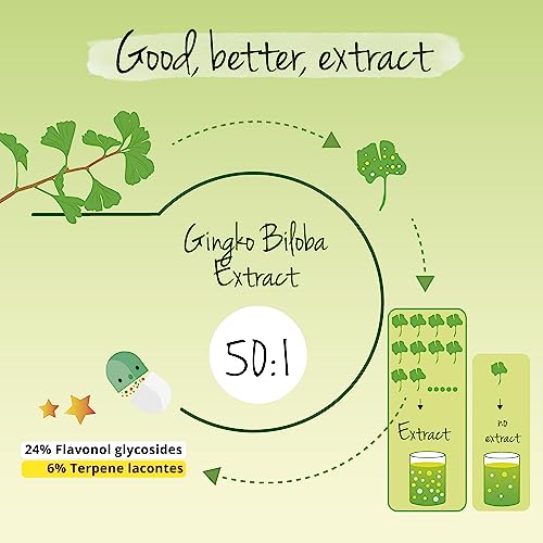 Ginkgo Biloba Capsules | 6000 mg Extract | 180 Vegan