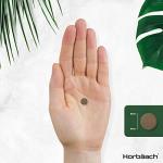 Ginkgo Biloba 12000mg | 180 Vegan Tablets