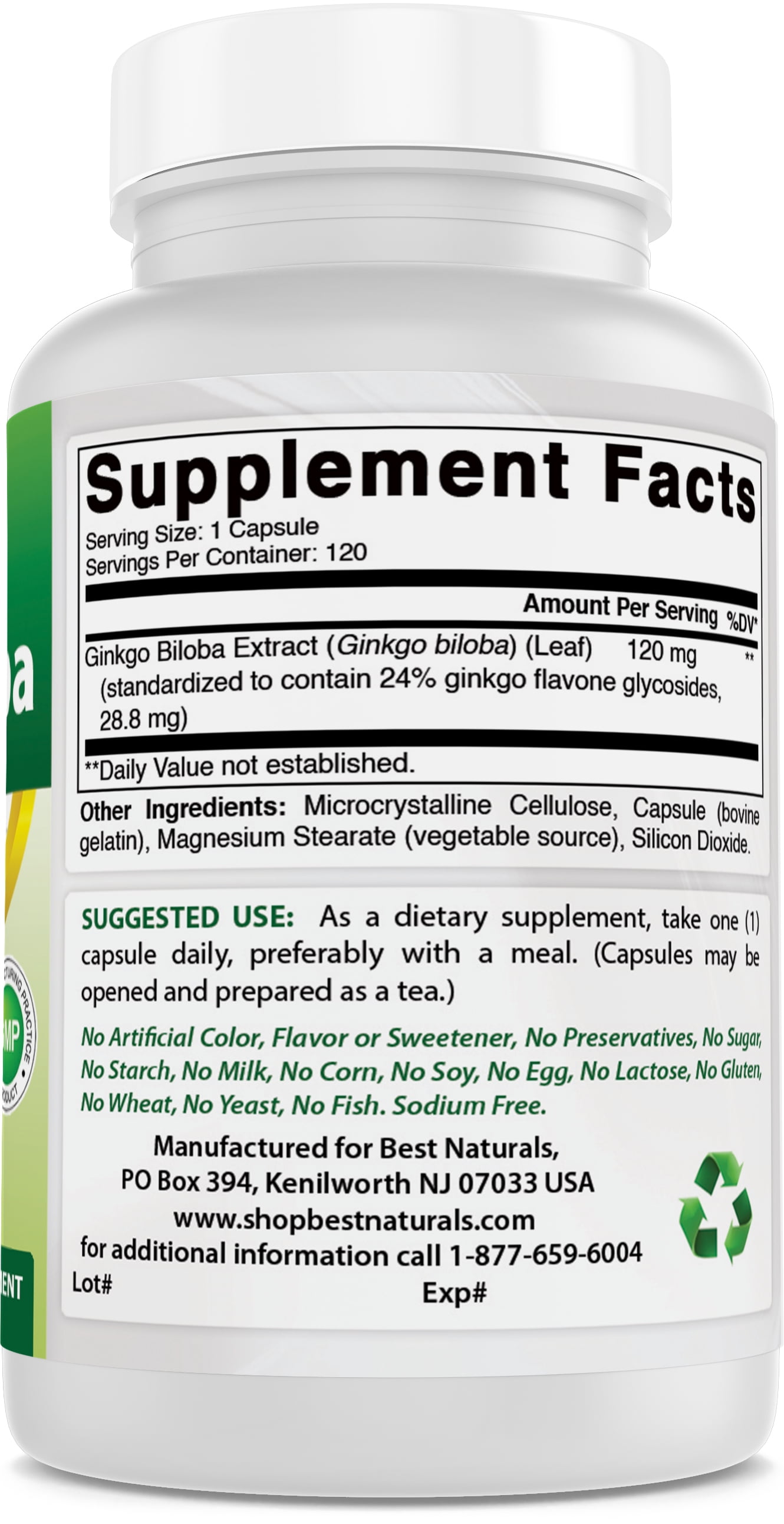 Ginkgo Biloba 120 mg – 120 Capsules