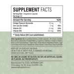 Ginkgo Biloba 600mg - 60 Veggie Capsules