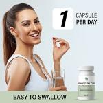 Ginkgo Biloba 600mg - 60 Veggie Capsules