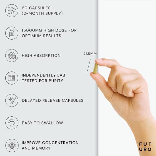 High Strength Ginkgo Biloba Capsules 15,000mg – Vegan