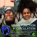 Ginkgo Biloba Capsules for Focus and Memory