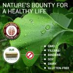 Ginkgo Biloba Capsules for Focus and Memory