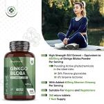 High Strength Ginkgo Complex with Ginseng 6600mg