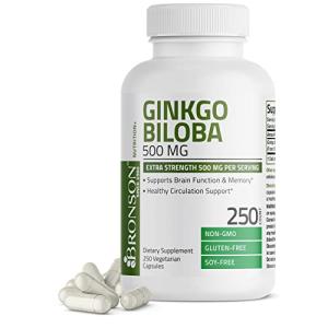 Ginkgo Biloba 500mg for Brain and Memory Support