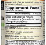 Mason Vitamins Ginkgo Biloba 500 mg 360 Capsules