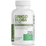 Ginkgo Biloba 500mg for Brain and Memory Support