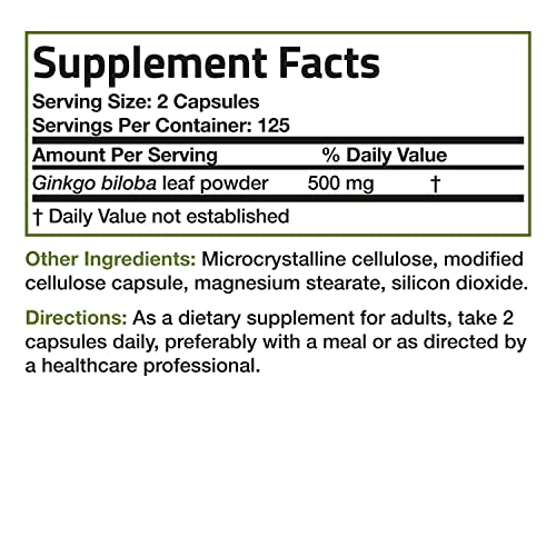 Ginkgo Biloba 500mg for Brain and Memory Support