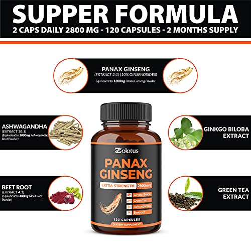 Korean Red Panax Ginseng & Ginkgo Biloba Blend