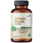 Ginkgo Biloba 500mg Extra Strength Capsules