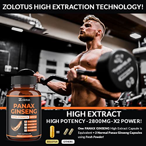 Korean Red Panax Ginseng & Ginkgo Biloba Blend