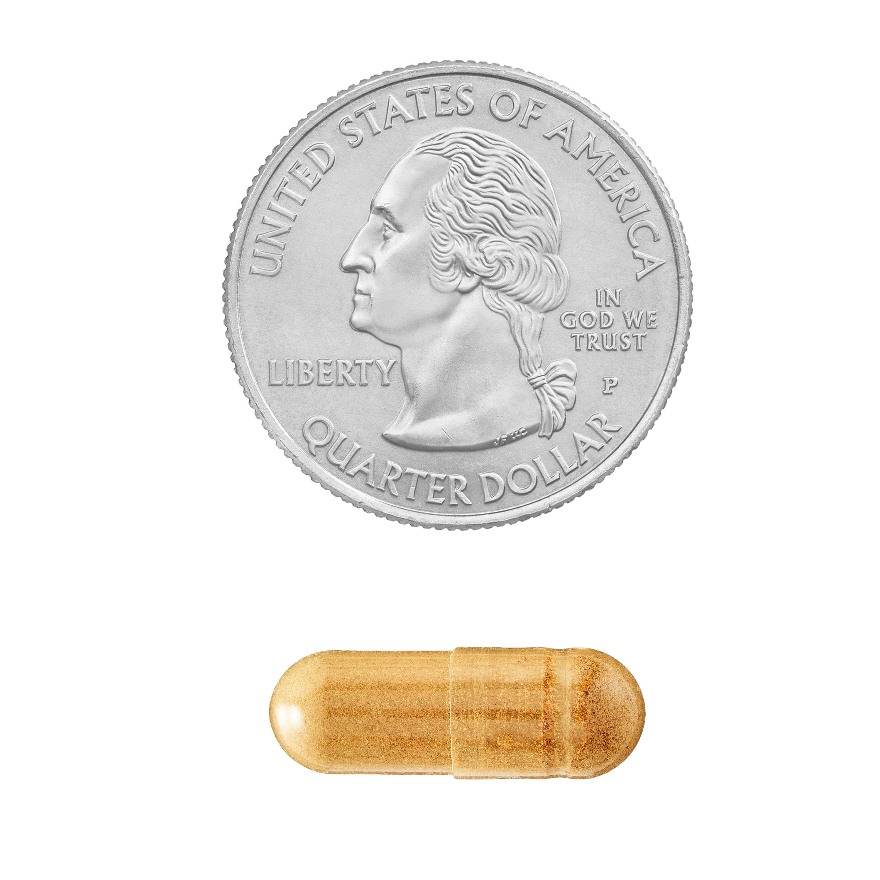 Ginkgo Biloba Extract Vegetarian Capsules, 120 mg, 90 Count