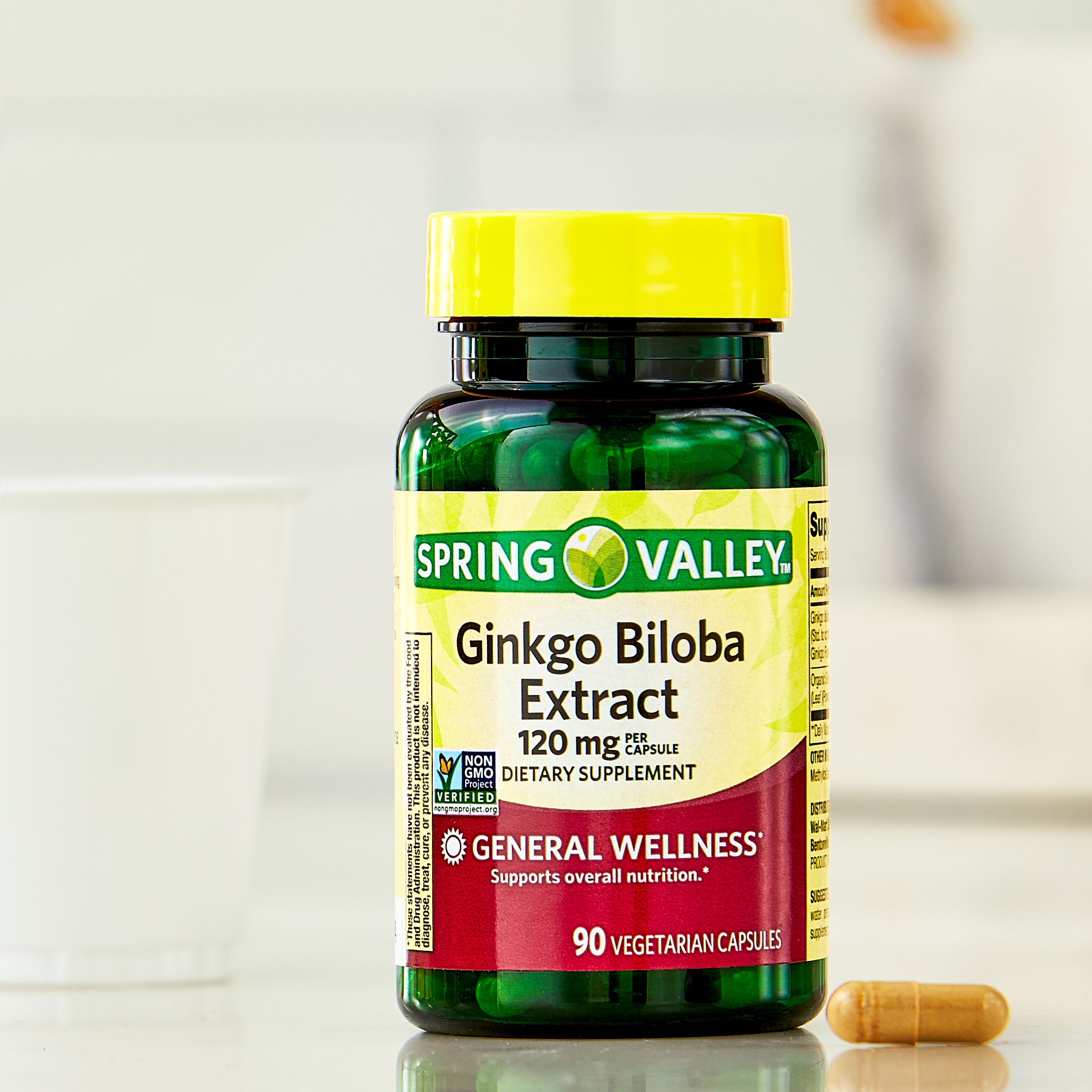 Ginkgo Biloba Extract Vegetarian Capsules, 120 mg, 90 Count