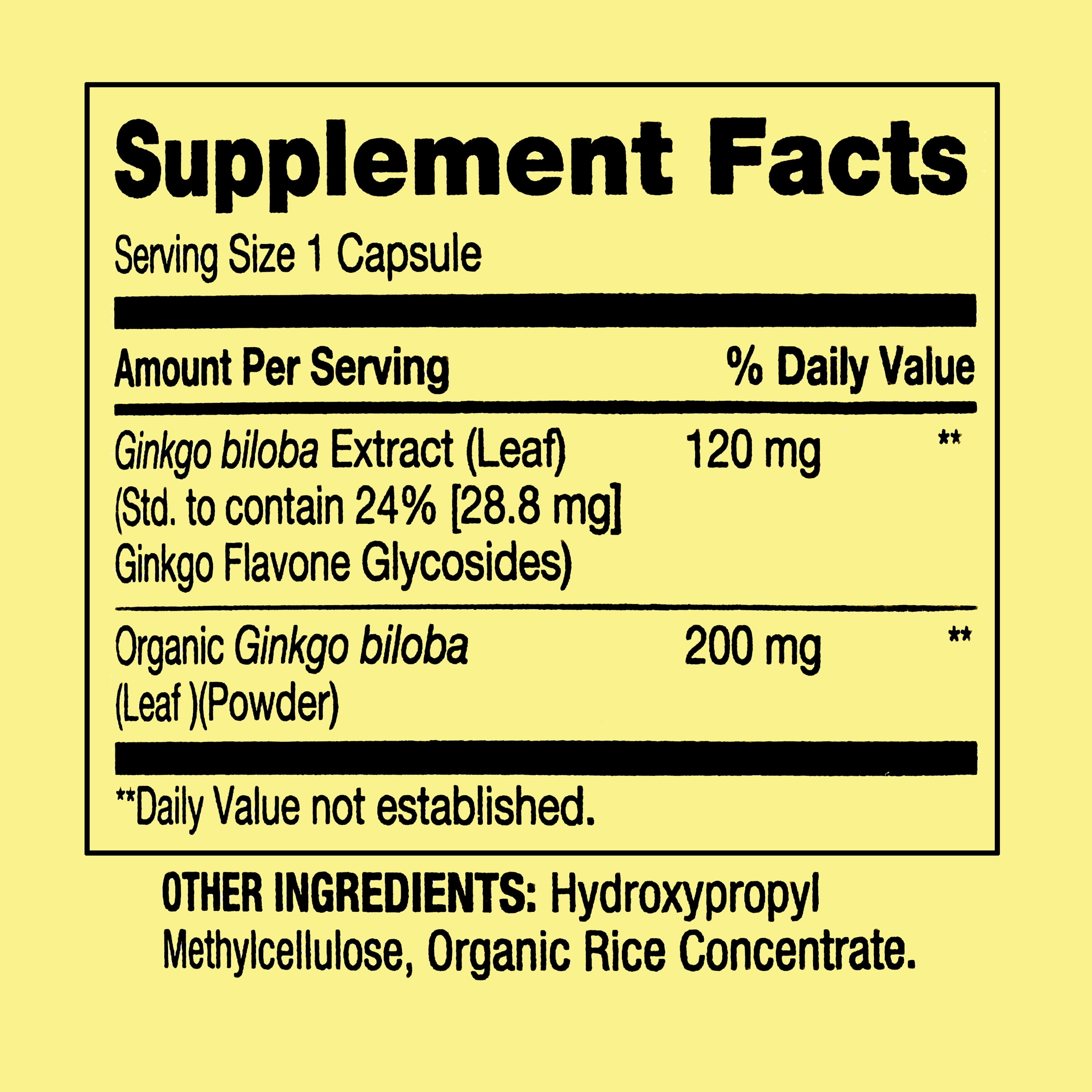 Ginkgo Biloba Extract Vegetarian Capsules, 120 mg, 90 Count
