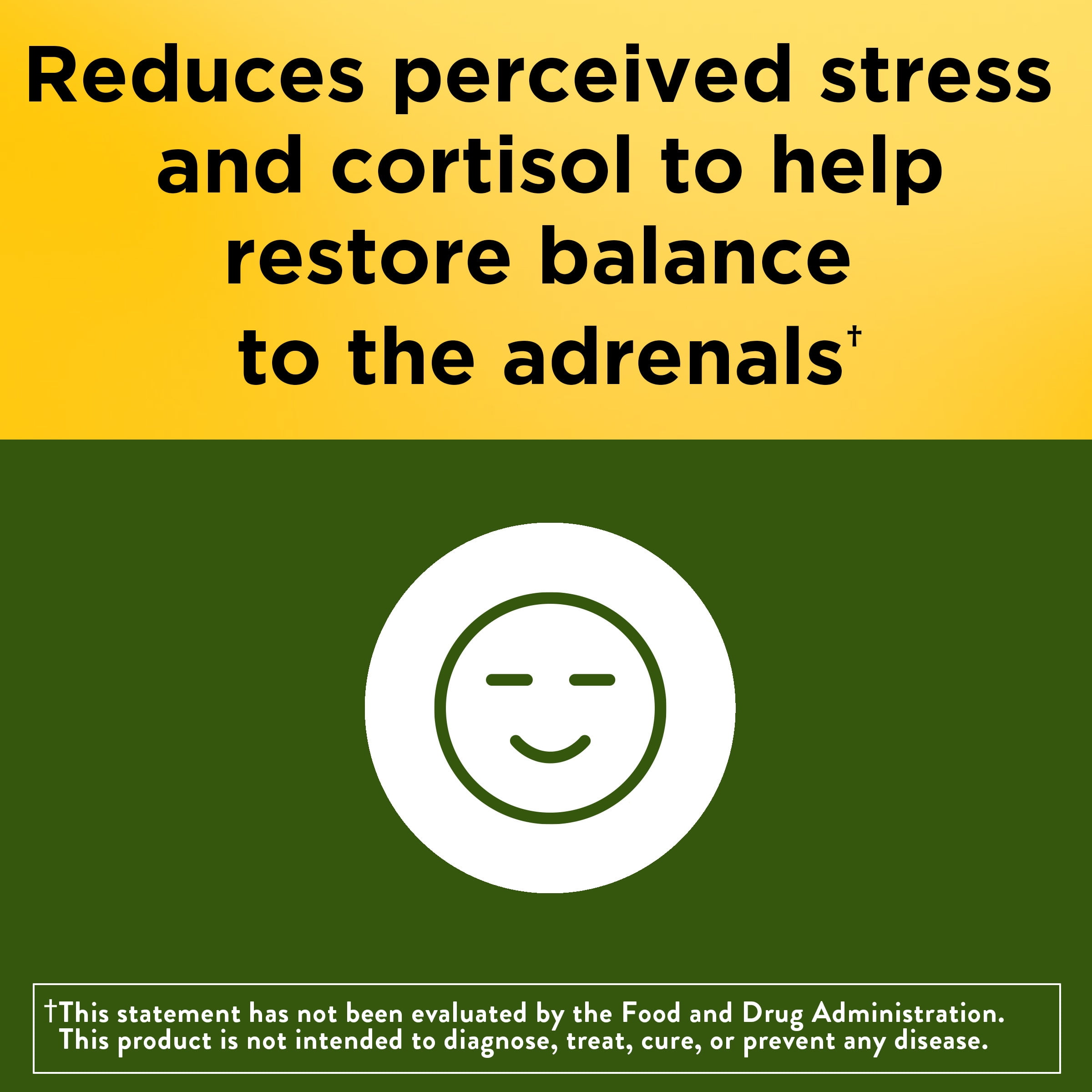 Nature Made Ashwagandha 60 Tablets for Stress Relief