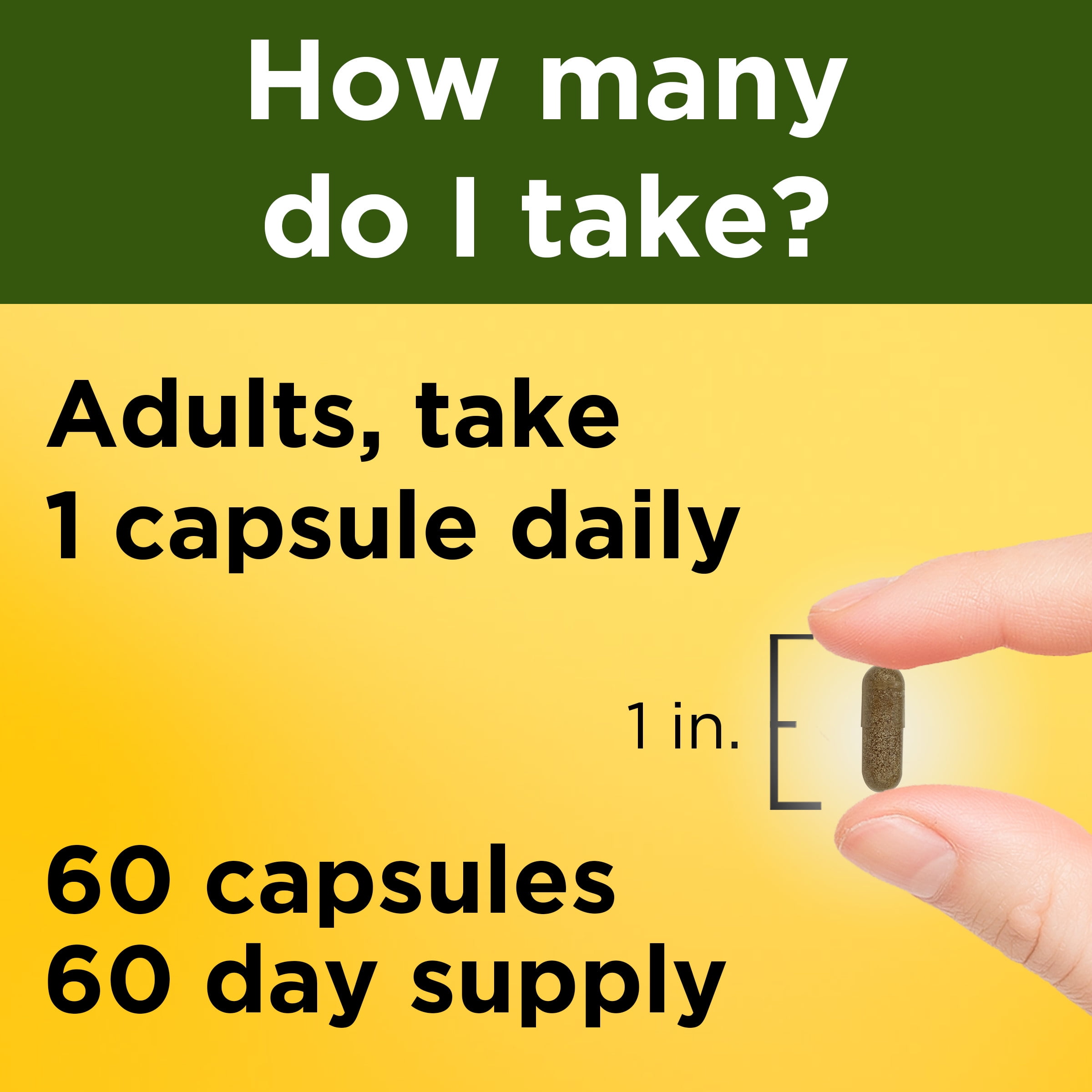 Nature Made Ashwagandha 60 Tablets for Stress Relief