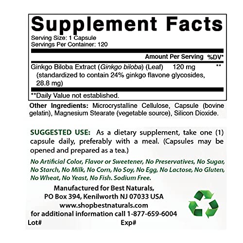 Ginkgo Biloba 120 mg - 120 Capsules