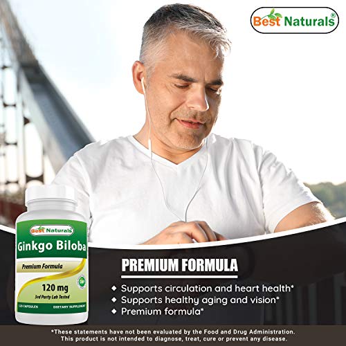 Ginkgo Biloba 120 mg - 120 Capsules